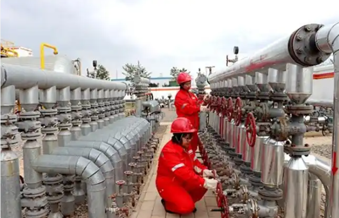 1764039076527117.png image.png